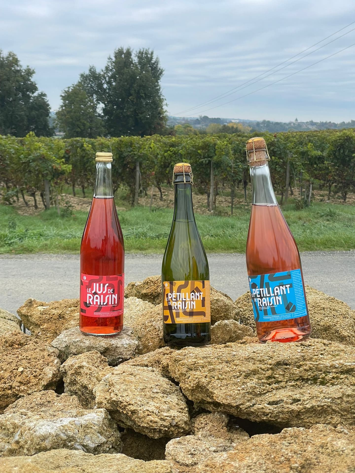 DATES IMPORTANTES DENOVEMBRE 2025